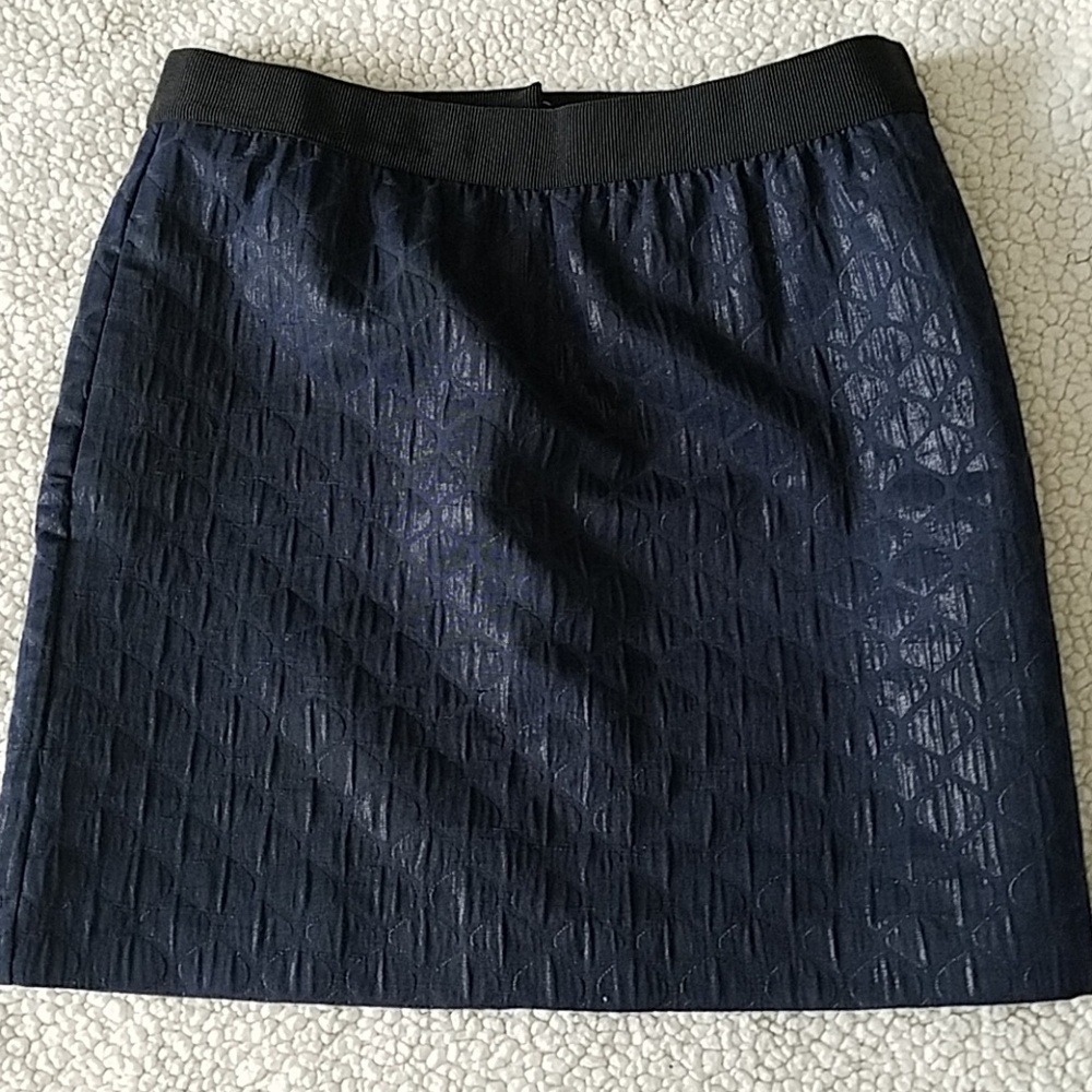 Ann Taylor LOFT Petites Black Skirt Size 6